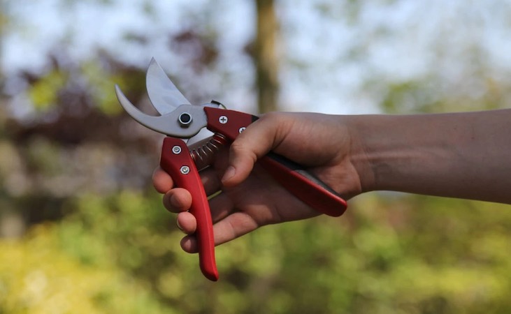 the ARS Secateurs