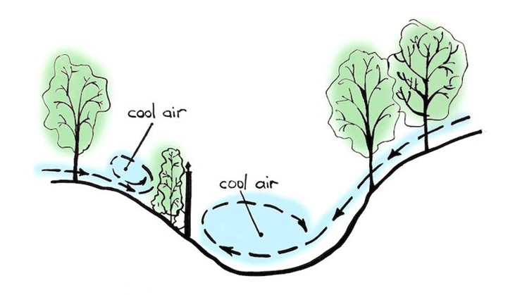 Diagram showing frost pockets in a garden