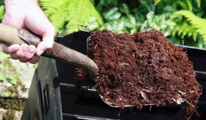 A shovel of garen compost