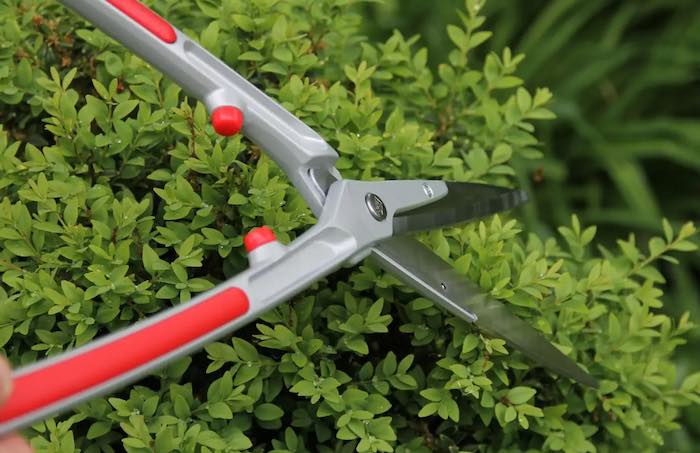 ARS garden shears