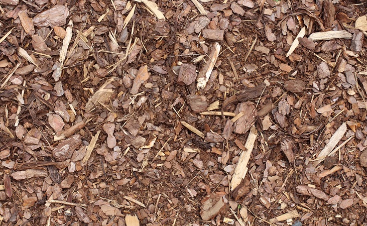 Bark mulch