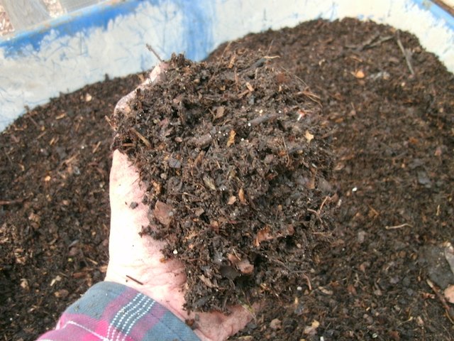 A fistful of compost