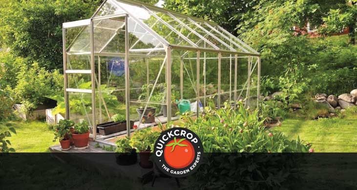 a greenhouse in the garden - header image