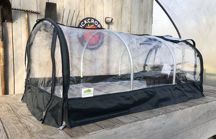 Biogreen Jumbo Propagator