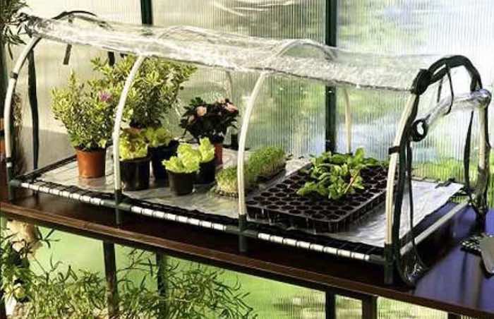 Biogreen electric propagator