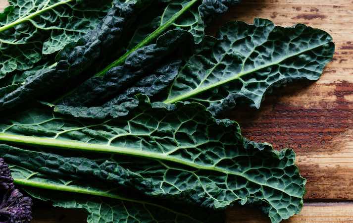 Kale, a nutritious vegetable