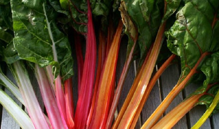 Multicoloured chard stalks