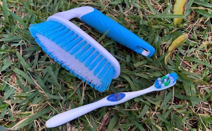 A scrubber and a toothbrush, both lying on grass