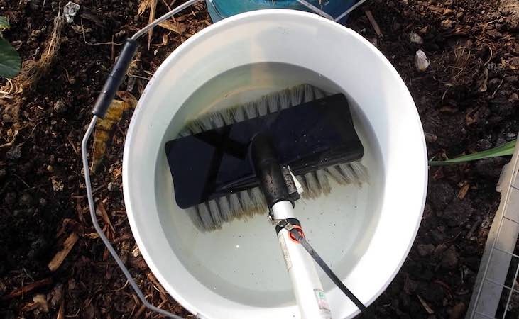 Clean polytunnel brush