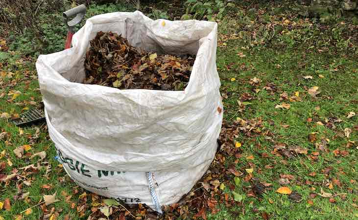 harvesting autumn leaves in a bag