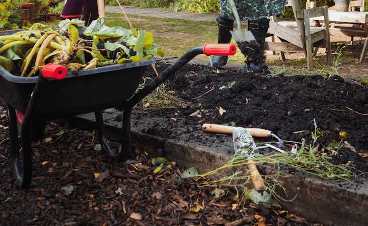 wheelbarrow in the garden