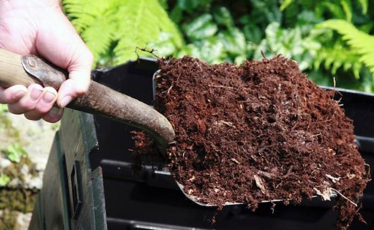 a spadeful of nutritious compost