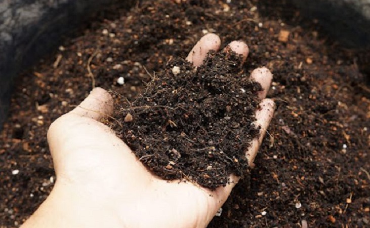 handful of compost