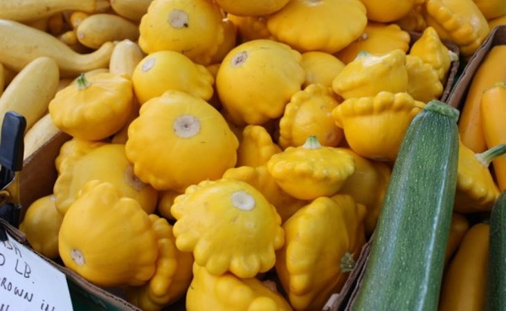 Patty Pan courgette