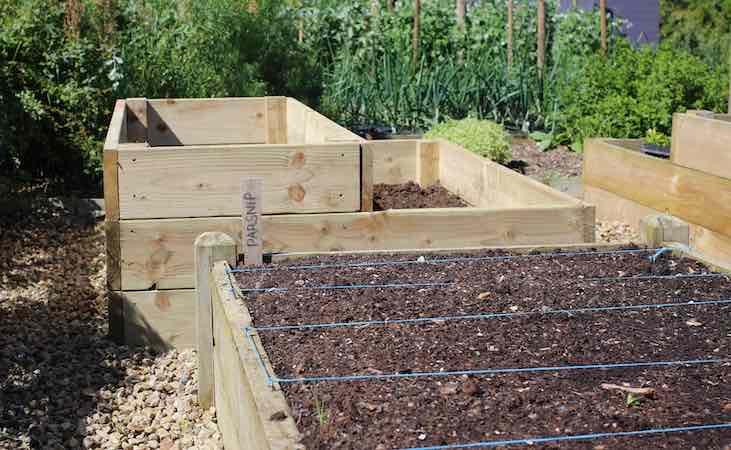 a timber raised bed divided up into planting sections