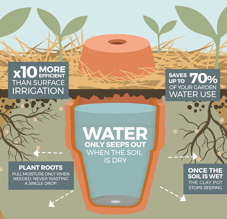 olla pot irrigation diagram