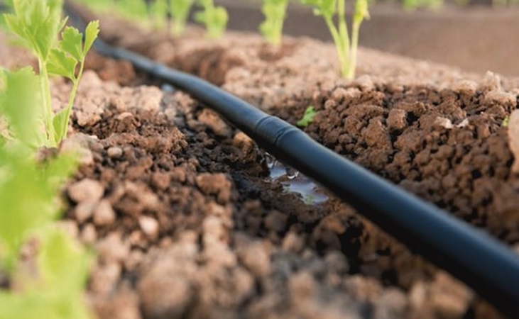 drip irrigation is precise.