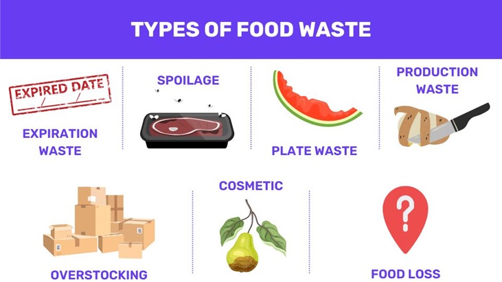 Types of Food Waste 