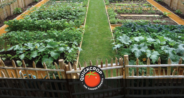 Carefully laid out garden plot - header image