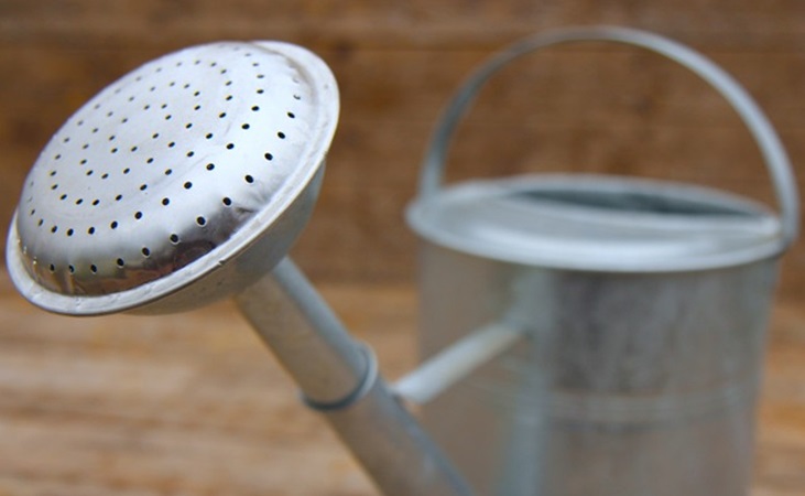 spout of galvanised watering can