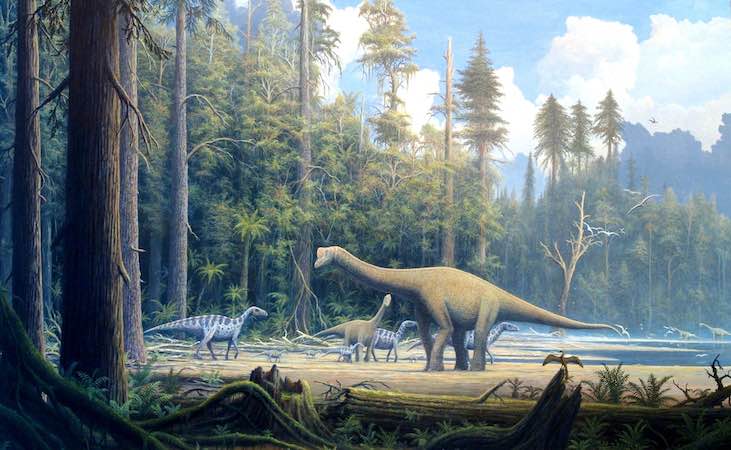 Gymnosperm plants and jurassic dinosaurs.