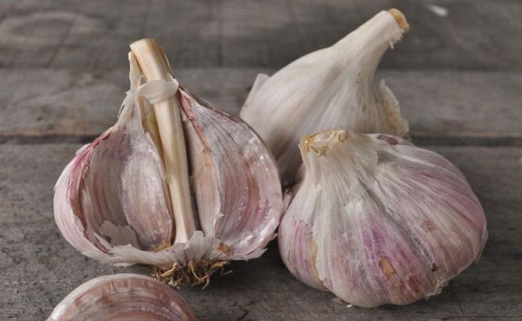 garlic bulbs contain cloves