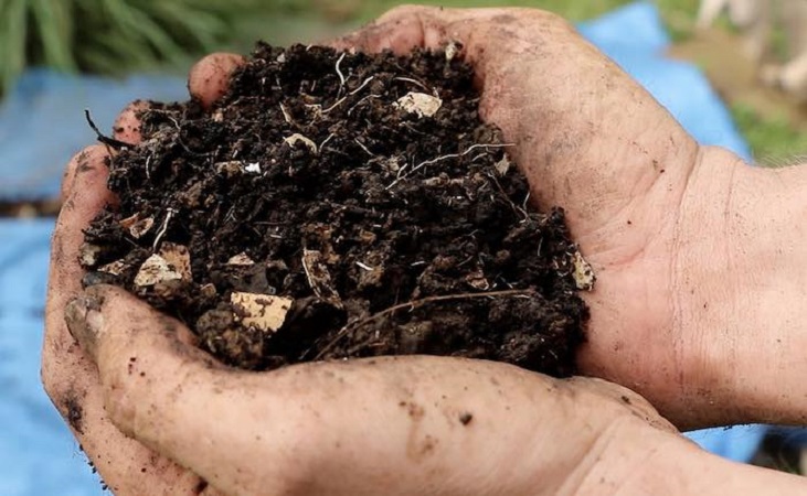a double handful of compost