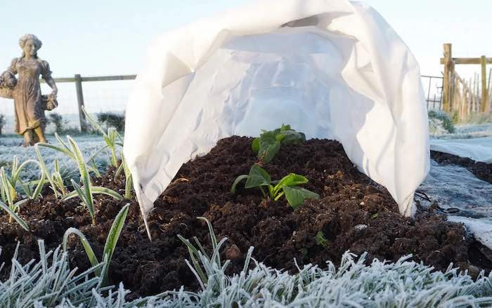 Hooped fleece cover for protecting vegetable seedlings from frost