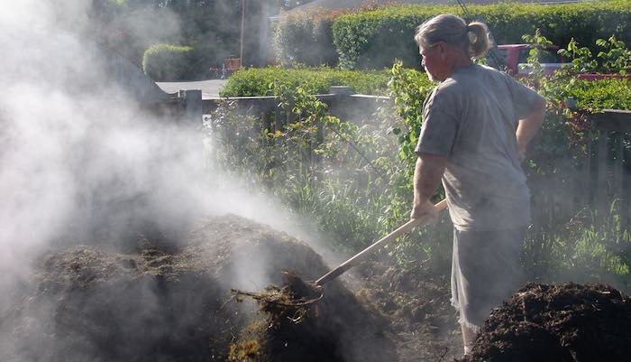 Steam from a hot compost heap