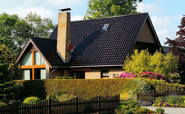 House surrounded by attractive foliage and hedging