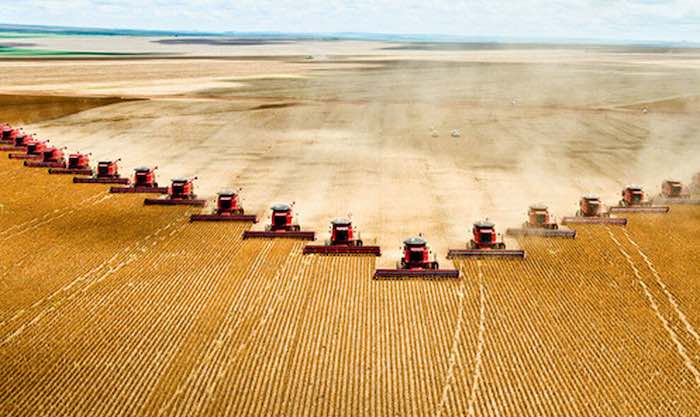 a row of huge combine harvesters