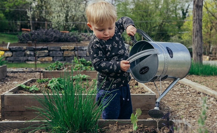 kid watering in the vegetable garden