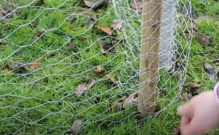 Making a leaf mould cage with stakes and wire