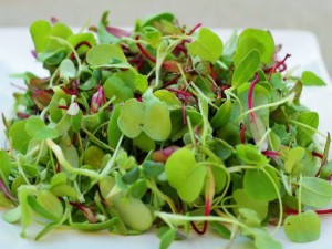 Microgreens are full of nutrients.