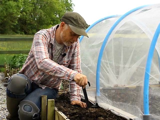 Working with a micromesh mini polytunnel