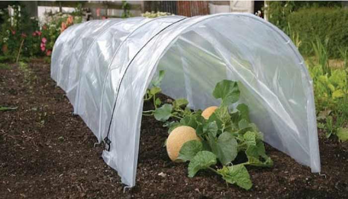 Mini polytunnle cloche cover