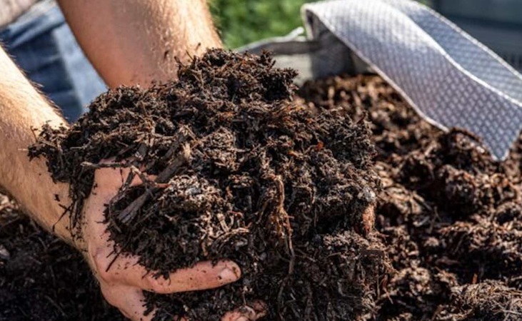 Mushroom compost