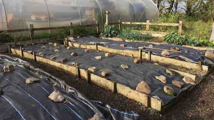 Mypex on raised beds, anchored down with rocks