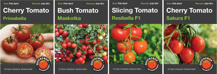 the four new Quickcrop tomato varieties. Primabella/Maskotka/Resibella/Sakura F1