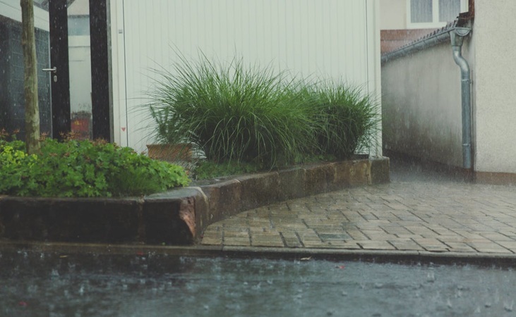 a downpour