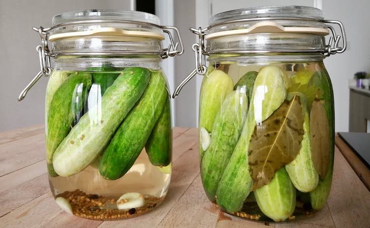 Pickled cucumbers in clip top jar