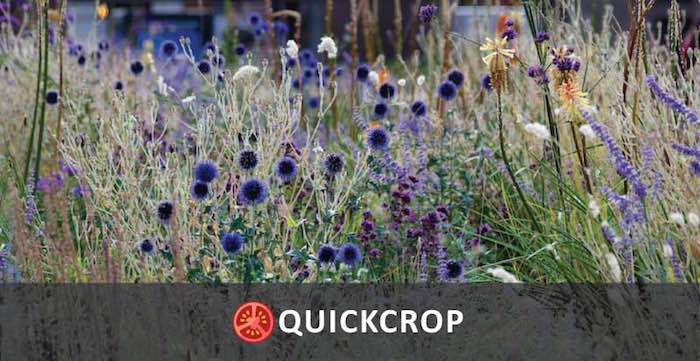 Wildlife friendly garden header