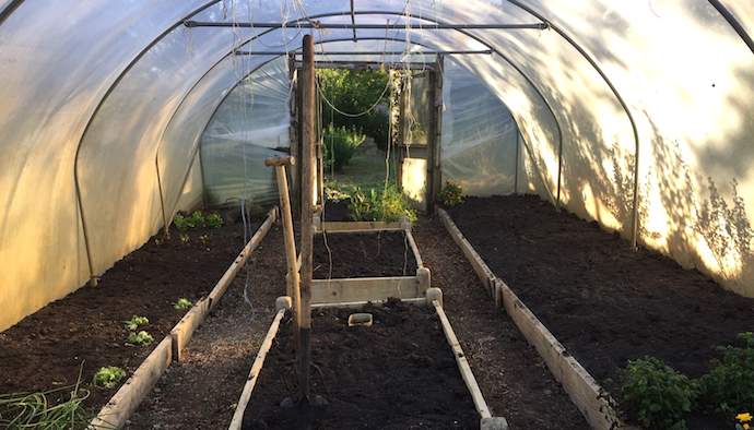 Polytunnel ready for spring planting