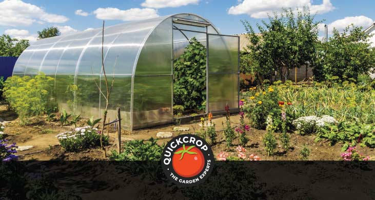 What is the best orientation for a garden polytunnel?