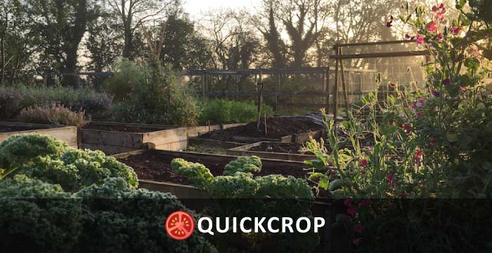 preparing vegetable garden header