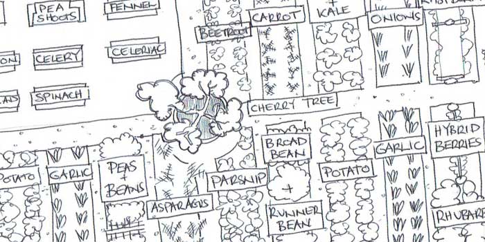 Sketch vegetable garden plan