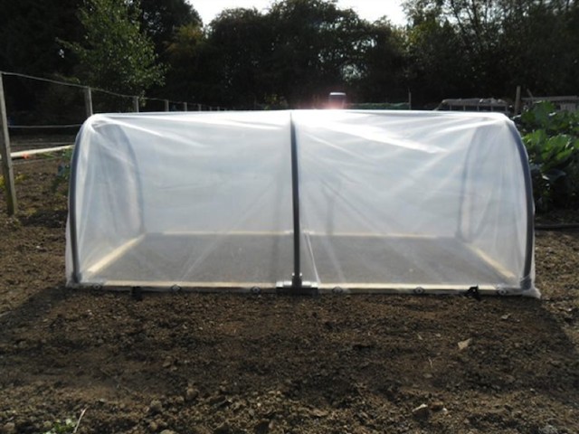 A mini polytunnel