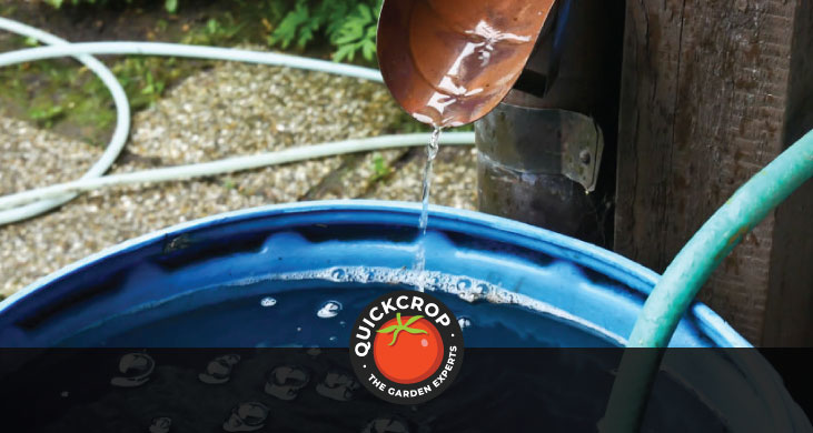 Rainwater being diverted into a barrel - header image