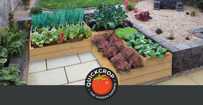 An attractive raised bed layout - header image