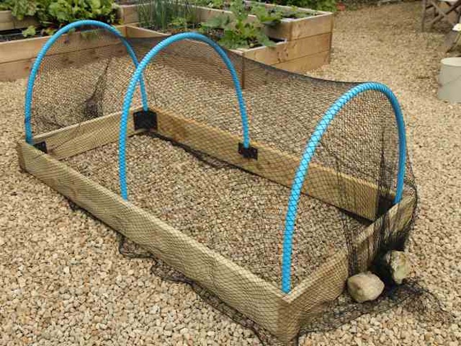raised bed with crop protection netting